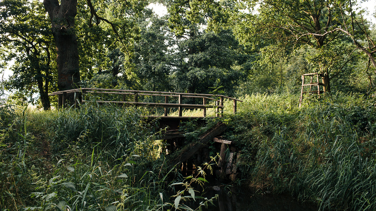 Filmlocation alte Brücke über Bach im Wald 